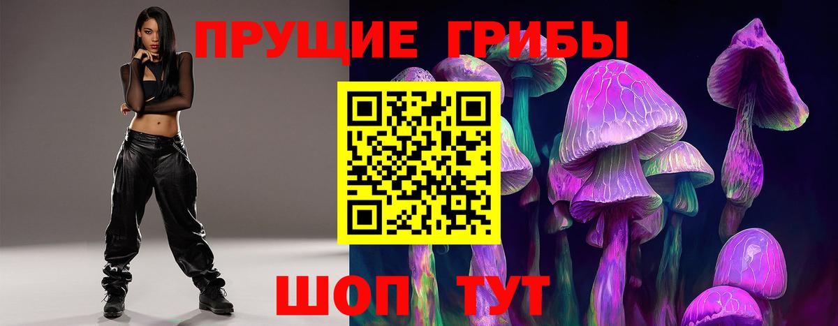 купить   Вход с VPN  Нягань  Псилоцибиновые грибы Psilocybe 